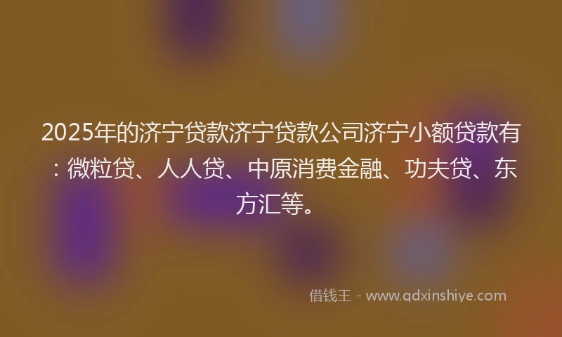 2025年的济宁贷款济宁贷款公司济宁小额贷款有：微粒贷、人人贷、中原消费金融、功夫贷、东方汇等。