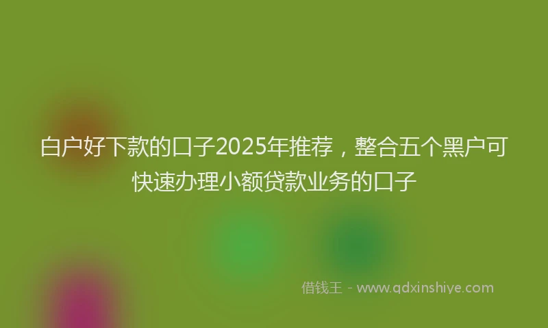 白户好下款的口子2025年推荐，整合五个黑户可快速办理小额贷款业务的口子