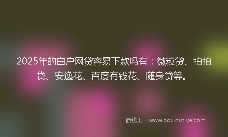 2025年的白户网贷容易下款吗有：微粒贷、拍拍贷、安逸花、百度有钱花、随身贷等。