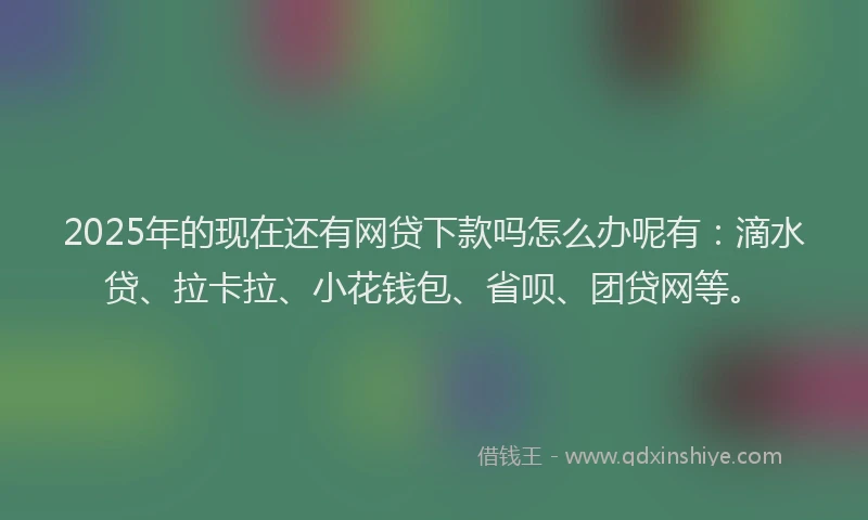 2025年的现在还有网贷下款吗怎么办呢有：滴水贷、拉卡拉、小花钱包、省呗、团贷网等。