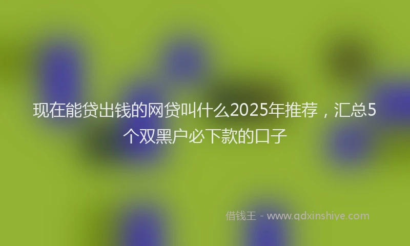 现在能贷出钱的网贷叫什么2025年推荐，汇总5个双黑户必下款的口子