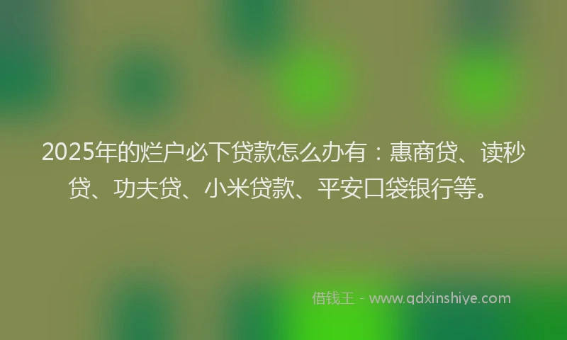 2025年的烂户必下贷款怎么办有：惠商贷、读秒贷、功夫贷、小米贷款、平安口袋银行等。