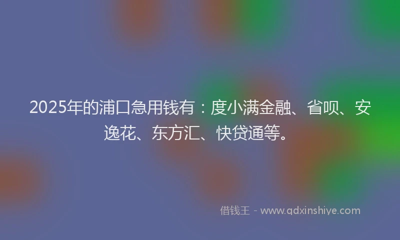 2025年的浦口急用钱有：度小满金融、省呗、安逸花、东方汇、快贷通等。