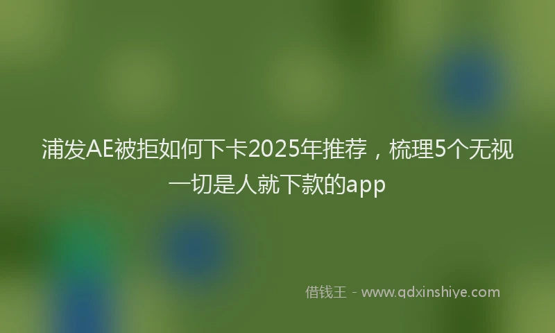 浦发AE被拒如何下卡2025年推荐，梳理5个无视一切是人就下款的app