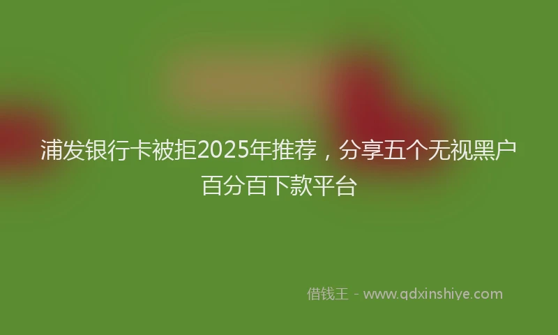 浦发银行卡被拒2025年推荐，分享五个无视黑户百分百下款平台