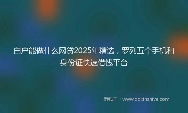 白户能做什么网贷2025年精选，罗列五个手机和身份证快速借钱平台