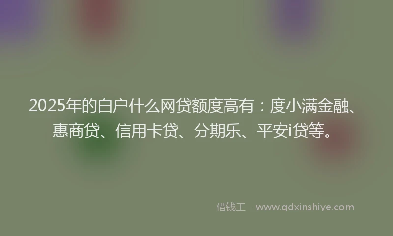2025年的白户什么网贷额度高有：度小满金融、惠商贷、信用卡贷、分期乐、平安i贷等。