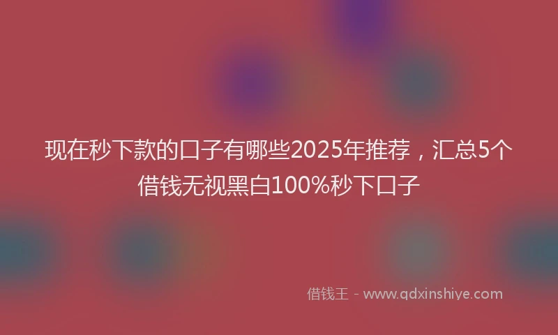 现在秒下款的口子有哪些2025年推荐，汇总5个借钱无视黑白100%秒下口子