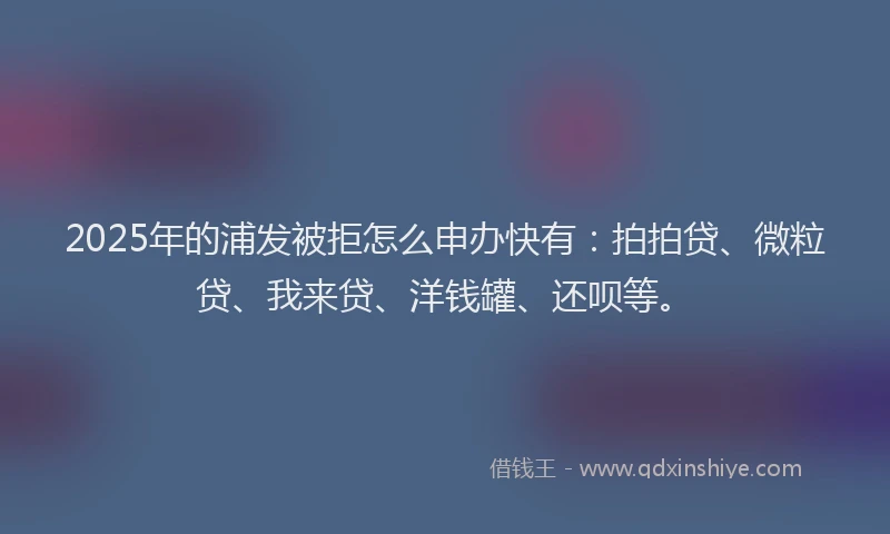 2025年的浦发被拒怎么申办快有：拍拍贷、微粒贷、我来贷、洋钱罐、还呗等。