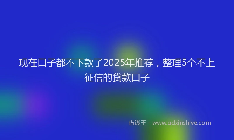 现在口子都不下款了2025年推荐，整理5个不上征信的贷款口子