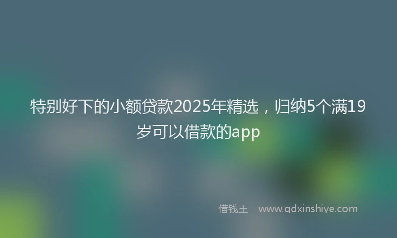 特别好下的小额贷款2025年精选，归纳5个满19岁可以借款的app