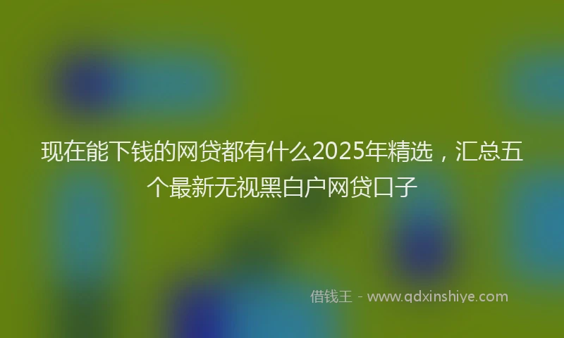 现在能下钱的网贷都有什么2025年精选，汇总五个最新无视黑白户网贷口子