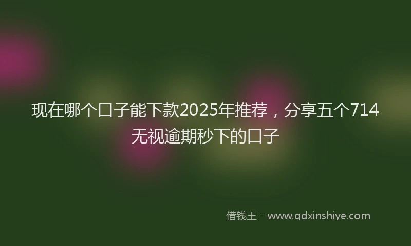 现在哪个口子能下款2025年推荐，分享五个714无视逾期秒下的口子