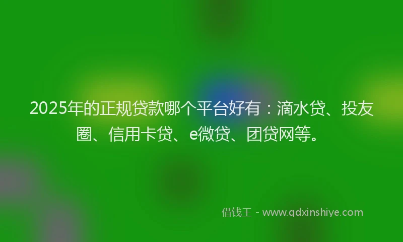 2025年的正规贷款哪个平台好有：滴水贷、投友圈、信用卡贷、e微贷、团贷网等。