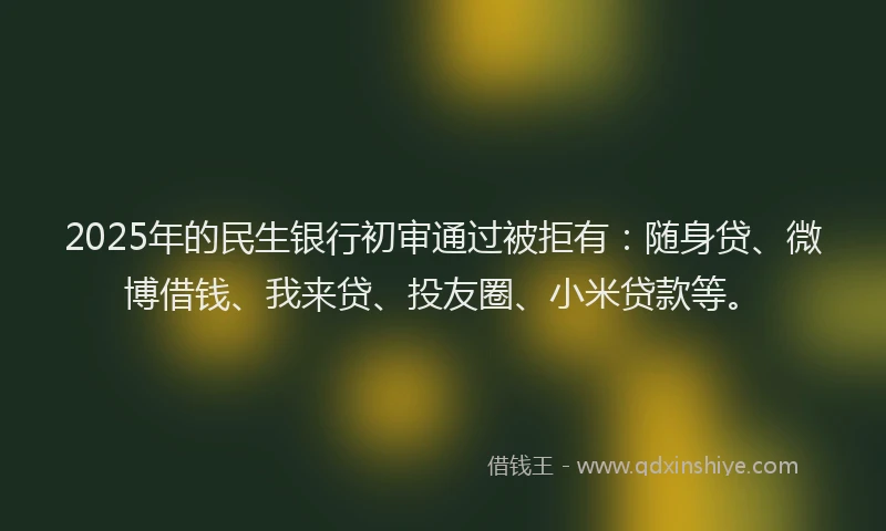 2025年的民生银行初审通过被拒有：随身贷、微博借钱、我来贷、投友圈、小米贷款等。