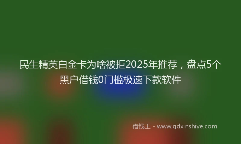 民生精英白金卡为啥被拒2025年推荐，盘点5个黑户借钱0门槛极速下款软件