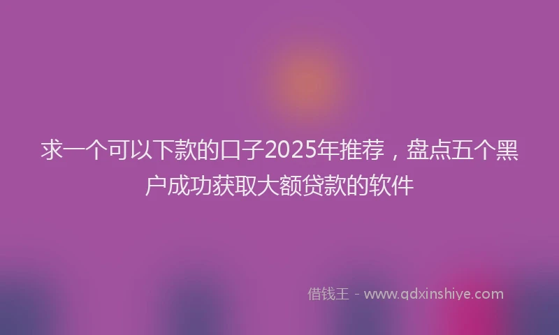 求一个可以下款的口子2025年推荐，盘点五个黑户成功获取大额贷款的软件
