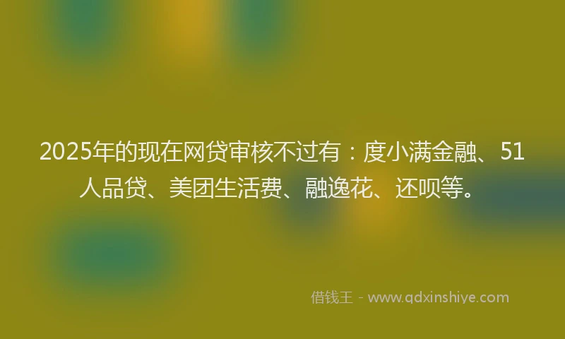 2025年的现在网贷审核不过有：度小满金融、51人品贷、美团生活费、融逸花、还呗等。