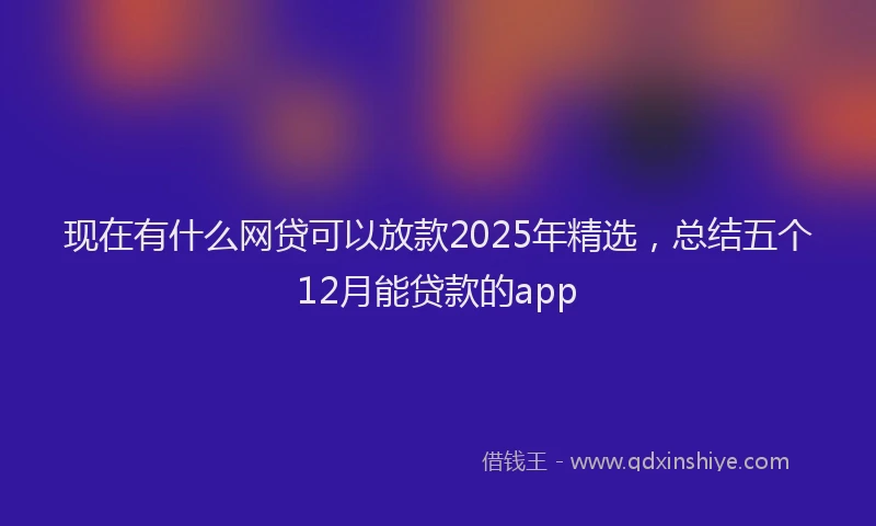 现在有什么网贷可以放款2025年精选，总结五个12月能贷款的app