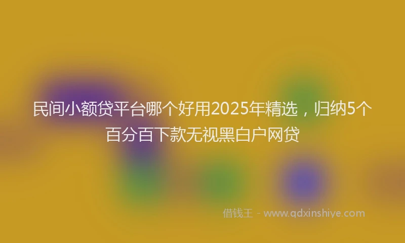 民间小额贷平台哪个好用2025年精选，归纳5个百分百下款无视黑白户网贷
