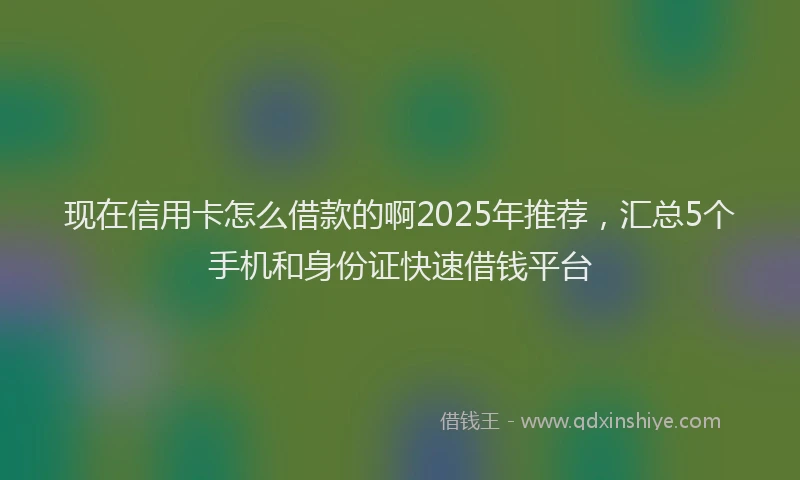 现在信用卡怎么借款的啊2025年推荐，汇总5个手机和身份证快速借钱平台
