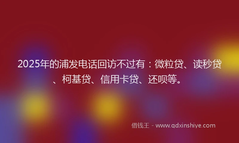 2025年的浦发电话回访不过有：微粒贷、读秒贷、柯基贷、信用卡贷、还呗等。