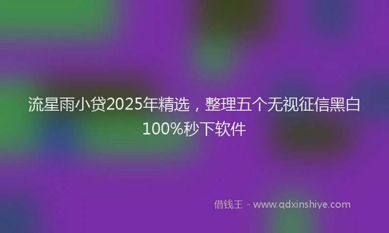 流星雨小贷2025年精选，整理五个无视征信黑白100%秒下软件