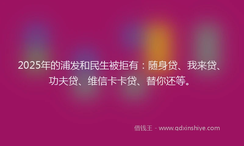 2025年的浦发和民生被拒有：随身贷、我来贷、功夫贷、维信卡卡贷、替你还等。
