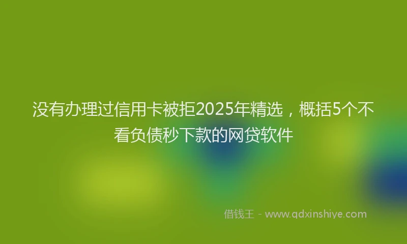没有办理过信用卡被拒2025年精选，概括5个不看负债秒下款的网贷软件