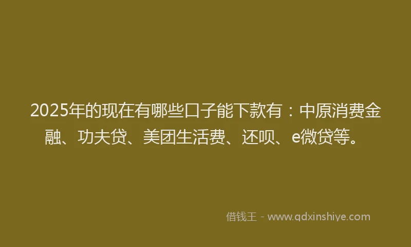 2025年的现在有哪些口子能下款有：中原消费金融、功夫贷、美团生活费、还呗、e微贷等。