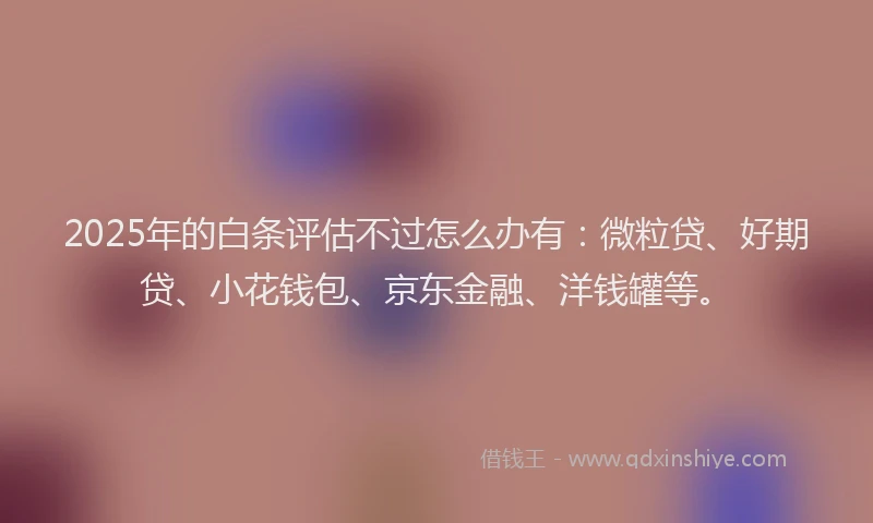 2025年的白条评估不过怎么办有：微粒贷、好期贷、小花钱包、京东金融、洋钱罐等。