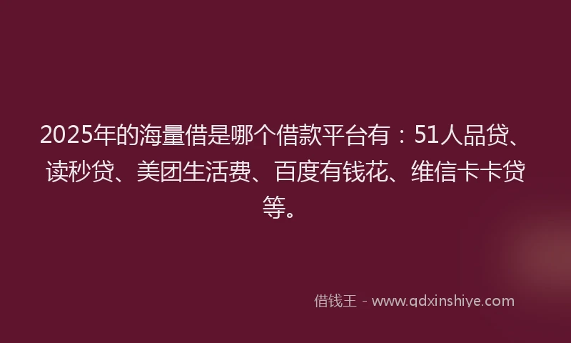 2025年的海量借是哪个借款平台有：51人品贷、读秒贷、美团生活费、百度有钱花、维信卡卡贷等。