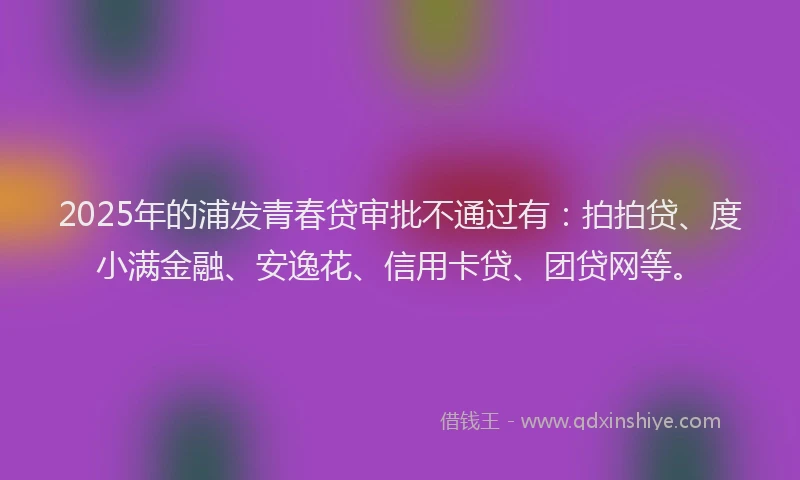2025年的浦发青春贷审批不通过有：拍拍贷、度小满金融、安逸花、信用卡贷、团贷网等。