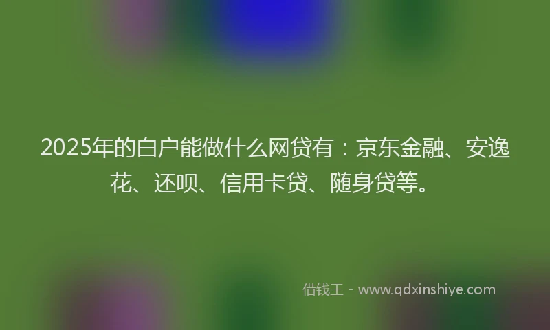 2025年的白户能做什么网贷有：京东金融、安逸花、还呗、信用卡贷、随身贷等。