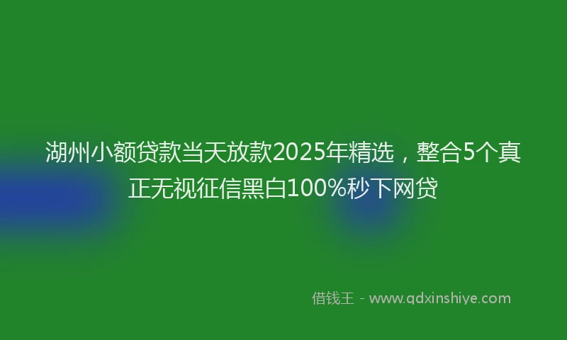 湖州小额贷款当天放款2025年精选，整合5个真正无视征信黑白100%秒下网贷