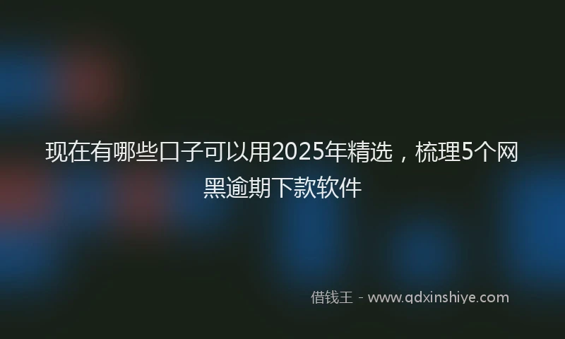 现在有哪些口子可以用2025年精选，梳理5个网黑逾期下款软件
