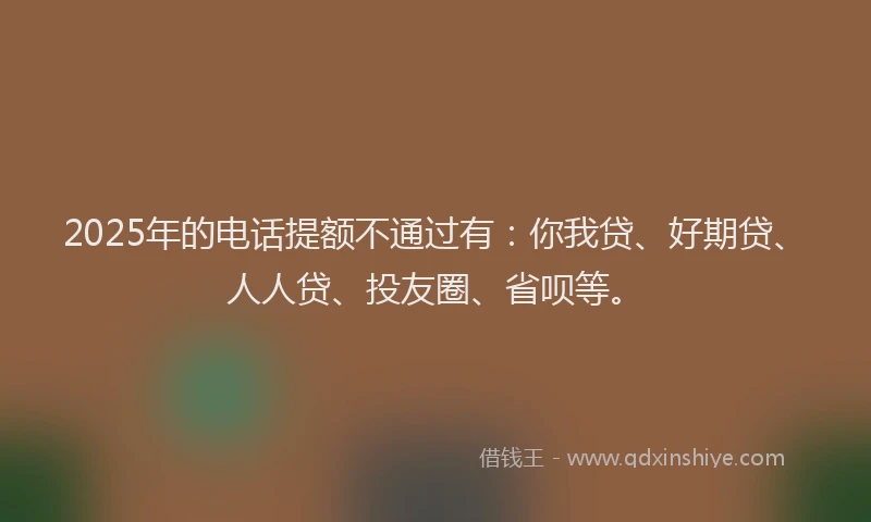 2025年的电话提额不通过有：你我贷、好期贷、人人贷、投友圈、省呗等。