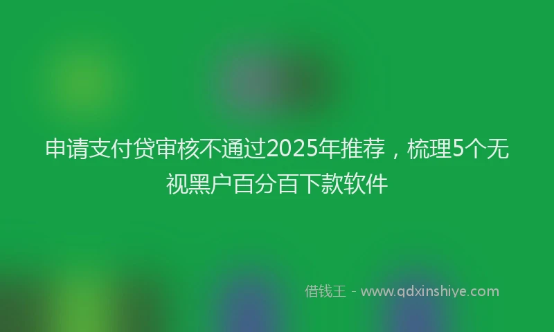 申请支付贷审核不通过2025年推荐，梳理5个无视黑户百分百下款软件
