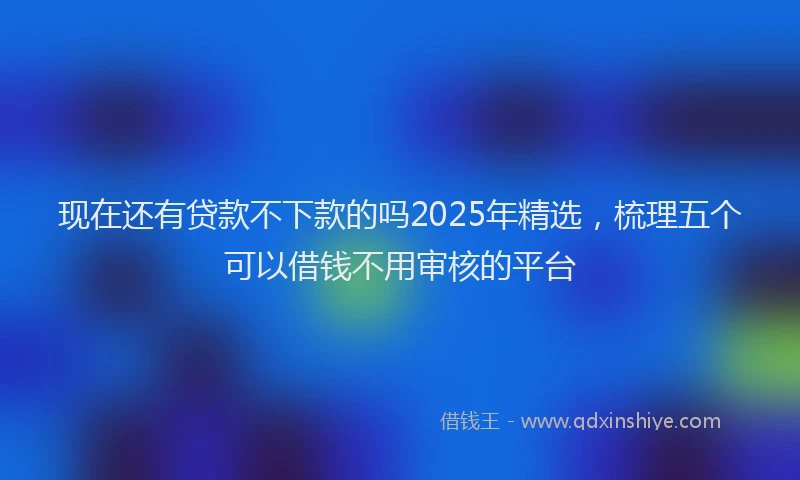 现在还有贷款不下款的吗2025年精选，梳理五个可以借钱不用审核的平台