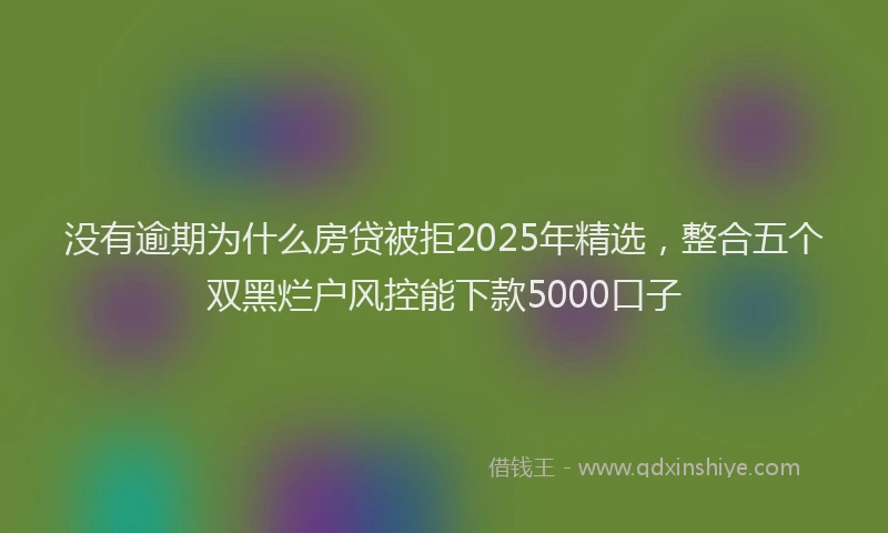 没有逾期为什么房贷被拒2025年精选，整合五个双黑烂户风控能下款5000口子