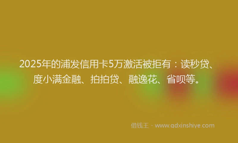 2025年的浦发信用卡5万激活被拒有：读秒贷、度小满金融、拍拍贷、融逸花、省呗等。
