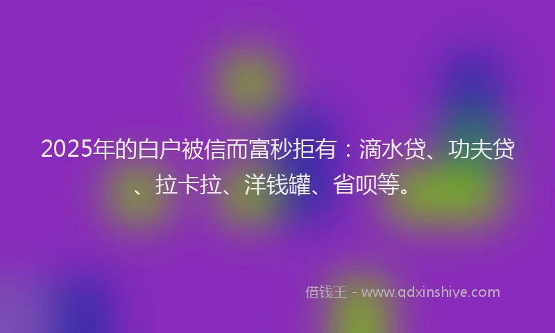 2025年的白户被信而富秒拒有：滴水贷、功夫贷、拉卡拉、洋钱罐、省呗等。