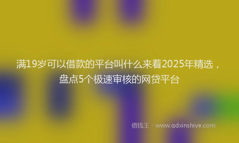 满19岁可以借款的平台叫什么来着2025年精选，盘点5个极速审核的网贷平台