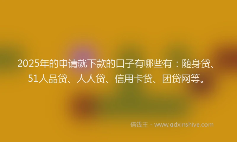 2025年的申请就下款的口子有哪些有：随身贷、51人品贷、人人贷、信用卡贷、团贷网等。