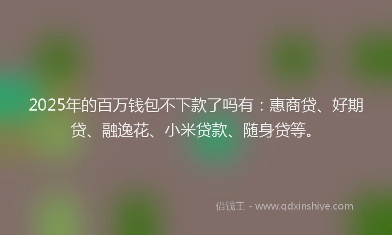 2025年的百万钱包不下款了吗有：惠商贷、好期贷、融逸花、小米贷款、随身贷等。