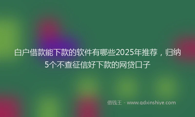 白户借款能下款的软件有哪些2025年推荐，归纳5个不查征信好下款的网贷口子