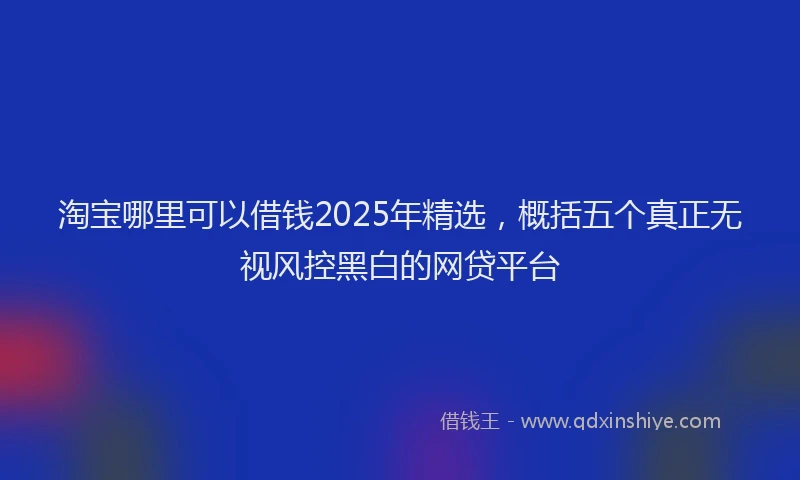 淘宝哪里可以借钱2025年精选，概括五个真正无视风控黑白的网贷平台