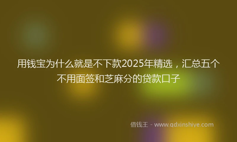 用钱宝为什么就是不下款2025年精选，汇总五个不用面签和芝麻分的贷款口子
