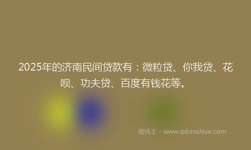 2025年的济南民间贷款有：微粒贷、你我贷、花呗、功夫贷、百度有钱花等。