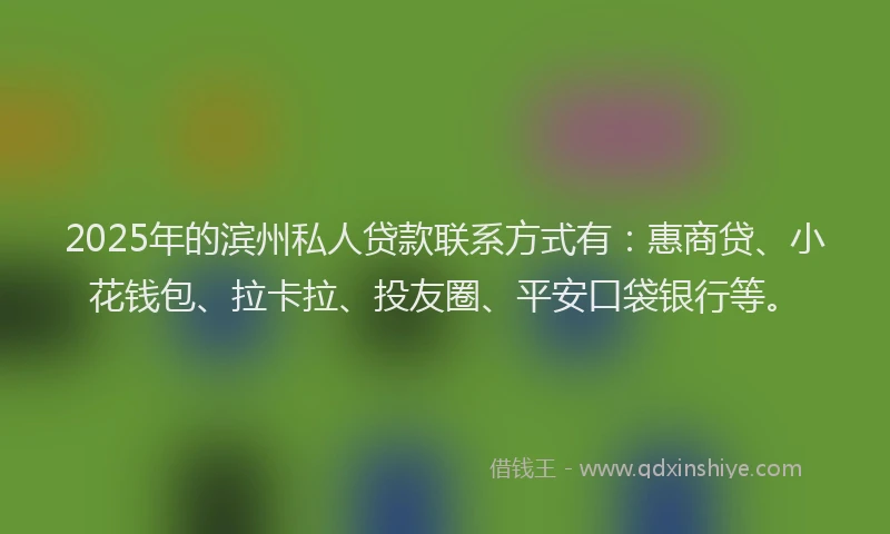 2025年的滨州私人贷款联系方式有：惠商贷、小花钱包、拉卡拉、投友圈、平安口袋银行等。